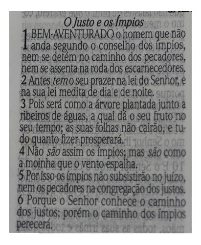 Bíblia Sagrada Letra Jumbo + Harpa Avivada Corinhos - Grande