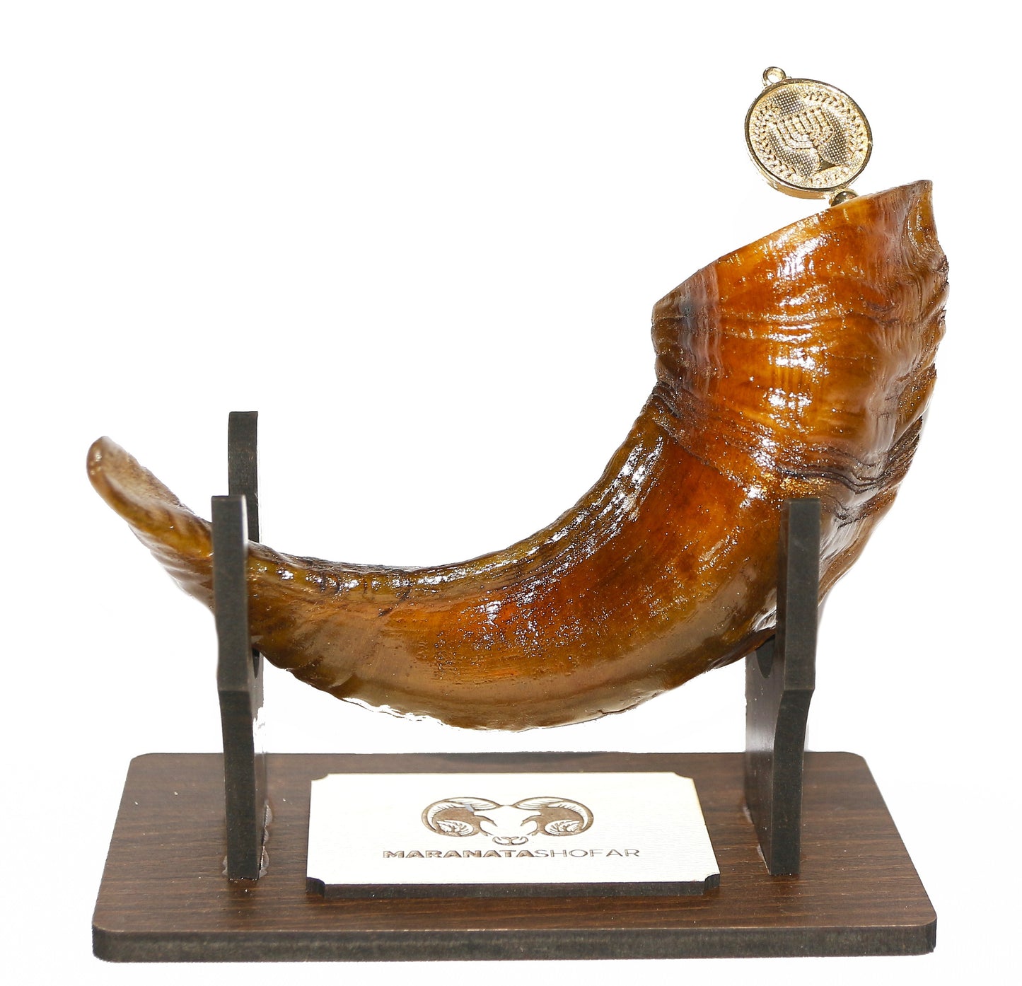 Shofar De Chifre De Carneiro De Ungir/unção + Suporte 23