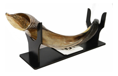 Shofar De Chifre Antílope + Brindes - De Israel #