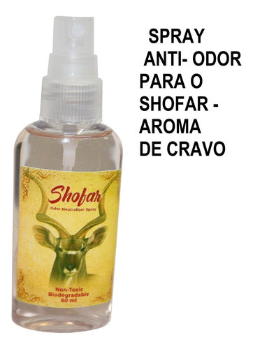 Shofar De Chifre Antílope + Brindes - De Israel #