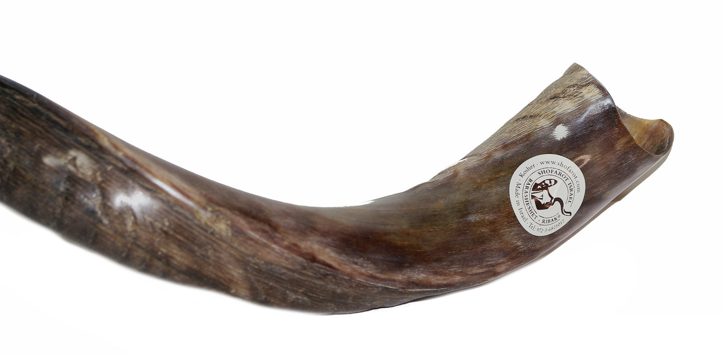 Shofar De Chifre Antílope + Capa + Livro #m0