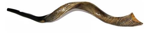 Shofar De Chifre Antílope + Capa + Livro #m0