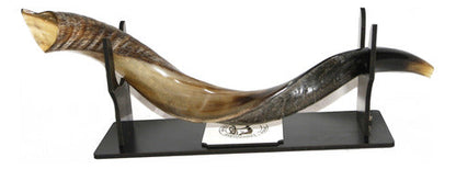 Shofar De Chifre Antílope + Brindes - De Israel #