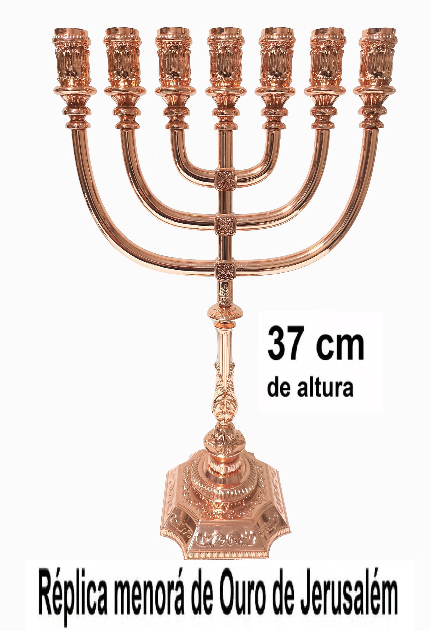 6479