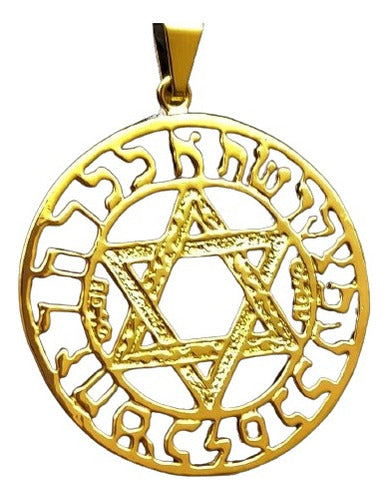Pingente Estrela De Davi Dourado - Direito De Israel :