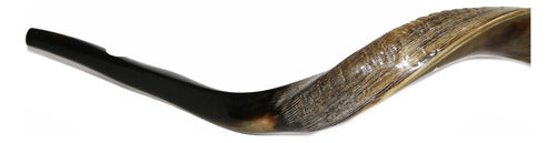 Shofar De Chifre Antílope + Capa + Livro #m0