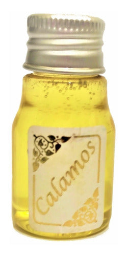 Kit Óleo De Unção - 7 Unções - 10 Ml - Essências Importadas