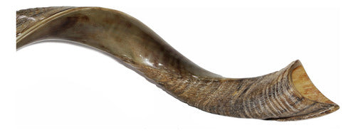 Shofar De Chifre Antílope + Capa + Livro #m0