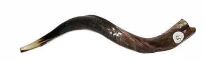 Shofar De Chifre Antílope + Capa + Livro #m0