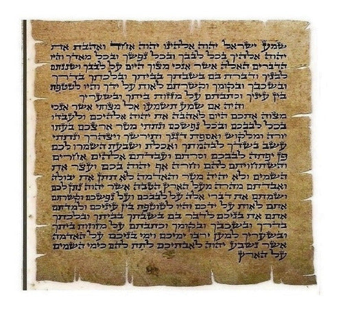 Mezuzá Judaico Luxo 8 Cm + Pergaminho  12 Tribos De Israel