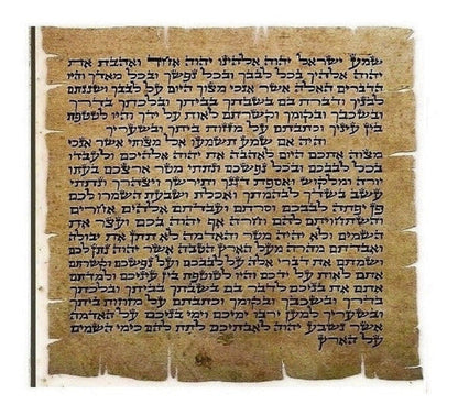 Mezuzá Judaico Luxo 8 Cm + Pergaminho  12 Tribos De Israel